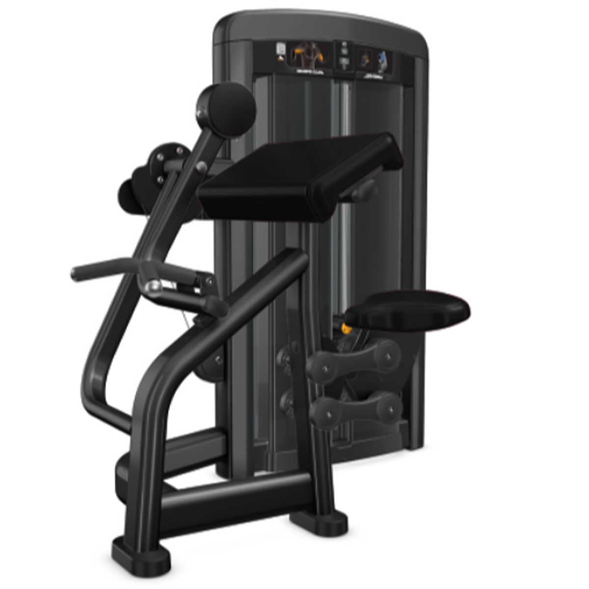 Insignia Series Biceps Curl-dependent Fitness For Life Mexico