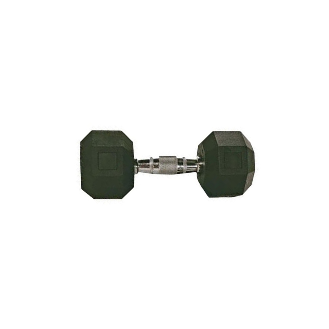 Troy Rubber Hex Dumbbell 15 Lbs.
